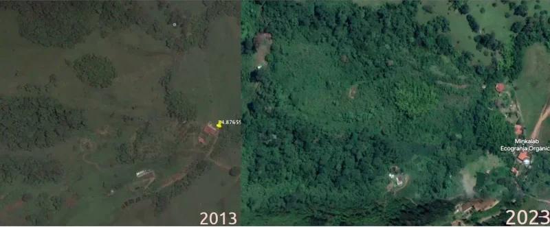 minkalab-antes-y-despues2 minkalab-antes-y-despues2